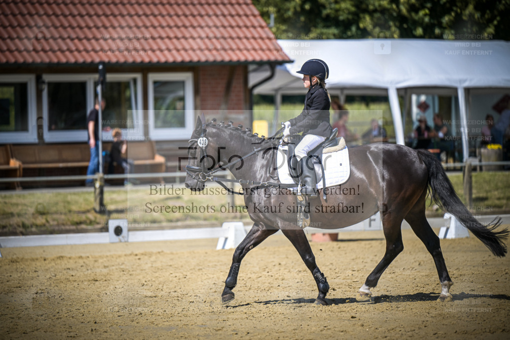 DOS_6577 | Entdecke hochwertige Reitturnierfotos von Foto Oger. Professionell, emotional und authentisch – jetzt Lieblingsmomente im Shop bestellen. - Realisiert mit Pictrs.com