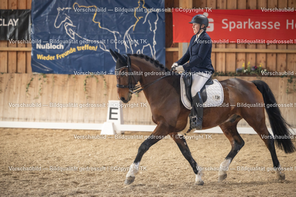 _D5A2901 | Emotionale Pferde- & People-Fotografie rund um Heidelberg, Leimen & Umgebung. Natürliche Fotos von Pferd, Mensch & Familie. Jetzt Termin sichern!