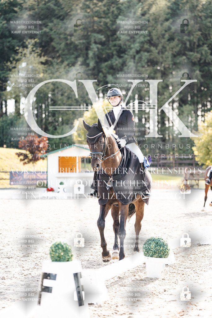CK901810 | Turnierfotografie Pferdefotografie Trier Rheinland-Pfalz Pferdesport Reitsport Tierfotografie Sportfotografie Pferdevideo Pferdevideografie Equestrianvideography equestrianphotography  - Realisiert mit Pictrs.com