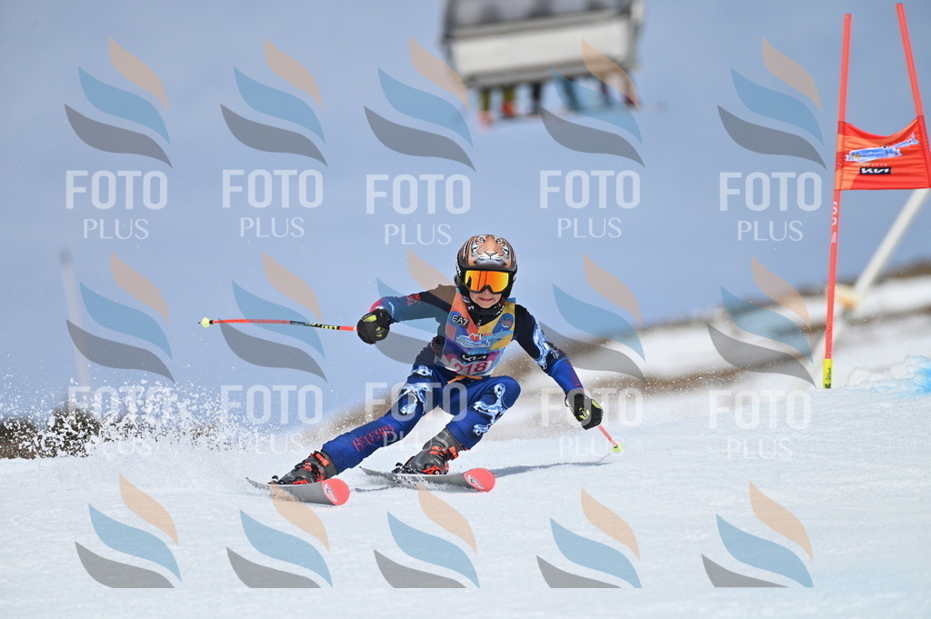 BGV_1269 | holidayphoto