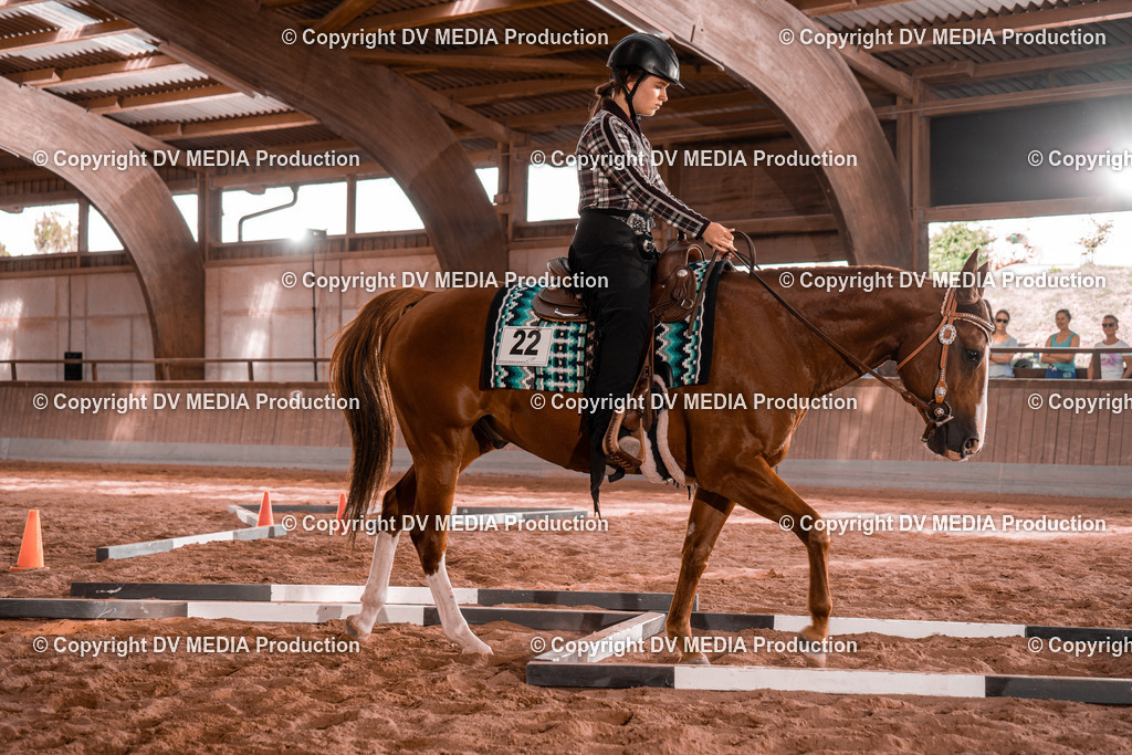 NE200253 | dv-media-shop - Realisiert mit Pictrs.com