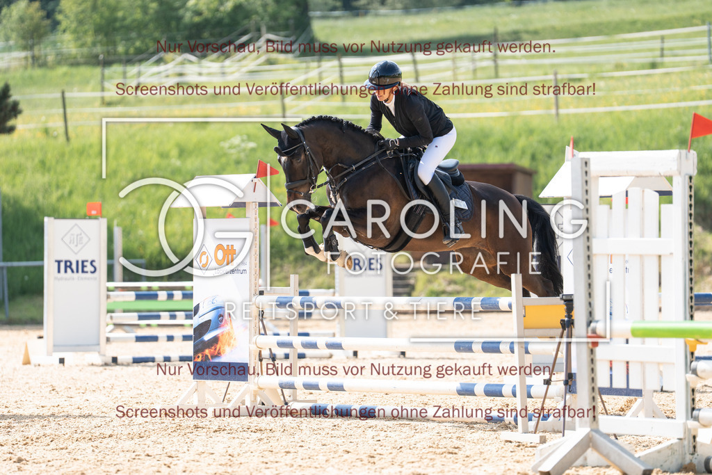 DSC04109 | Springturnier_Ehingen_Mai_2026, Nicole_Link, Calima_22