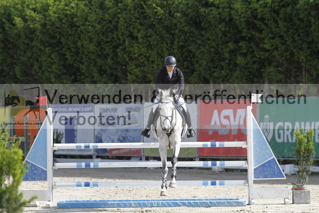 _MG_8855 | equestrian-live-com
