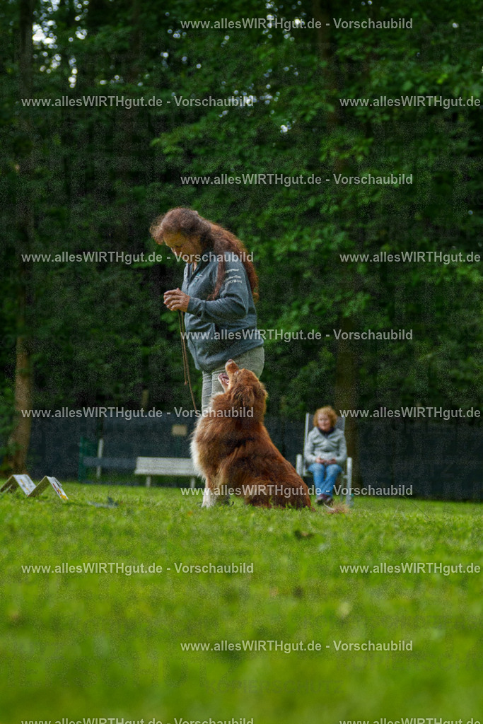 @allesWIRTHgut_Tierfotografie - www.allesWIRTHgut.de - 7R505093 | Professionelle Tierfotografie in Mönchengladbach von Daniel Wirth (allesWIRTHgut). Liebevolle & natürliche Bilder von Hunden & Katzen für unvergessliche Erinnerungen.