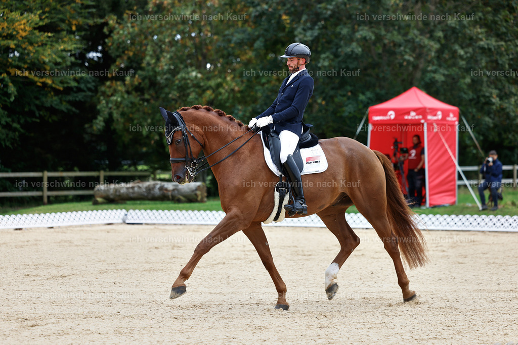 04_1-165-Dressur M__ -StoibPH-StoibPH-2627 | working equitationturnier fotograf videograf stoibphotography marixx film working equitation deutschland reitsport turnierfotografie eventfotografie equestrian events