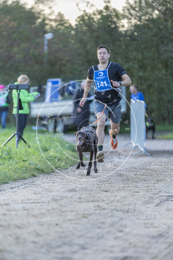 Pfotenfotografie.de_DV3A2817 | Hundefotografie, Tierfotograf, Pfotenfotografie, Fotoshooting Hund, Hunde Portrait, Hundesport, Hundeportraits, Heideshooting, Hunde, Sportfotograf, Hundefotograf, Turnierhundsport, THS, canicross - Realisiert mit Pictrs.com