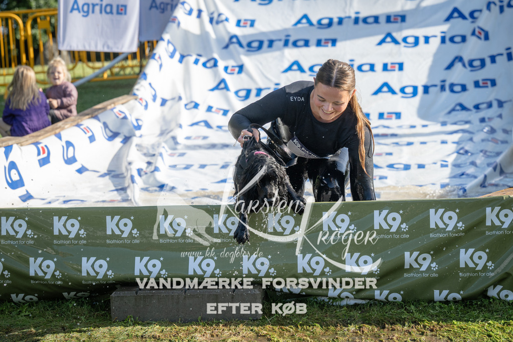 0929_ZZ96014 | kk-dogfotos