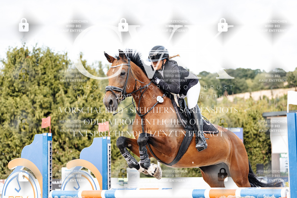 CK903918 | Turnierfotografie Pferdefotografie Trier Rheinland-Pfalz Pferdesport Reitsport Tierfotografie Sportfotografie Pferdevideo Pferdevideografie Equestrianvideography equestrianphotography  - Realisiert mit Pictrs.com