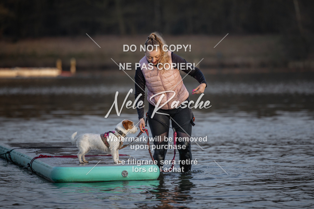 nelerasche_Hulsbeek_Sa1730-Ende_318 | nelerasche