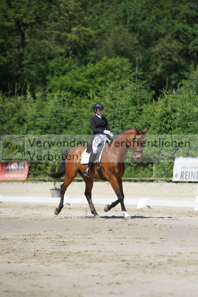 DSC03145 | equestrian-live-com