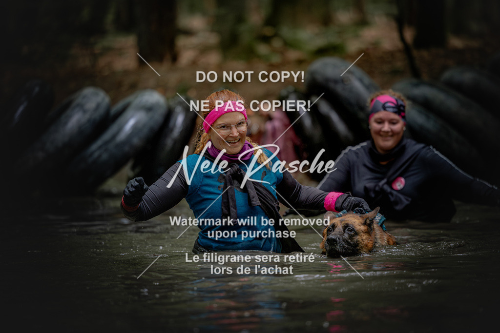 nelerasche_SaWingst1200-1230_337 | nelerasche