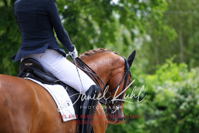 DKP41229 | Turnierfotos kaufen im Webshop von Daniel Kuhl Photography – entdecke professionelle Reitsportfotos aus Turnieren & Events. Hochwertige Turnierbilder online bestellen & sichern. Jetzt Fotos von Reitsportturnieren kaufen!