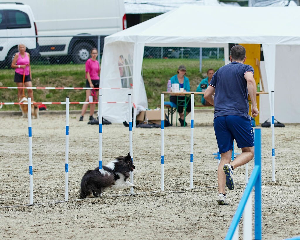 580A0213 | Peter Fridle Fotografie - Realisiert mit Pictrs.com