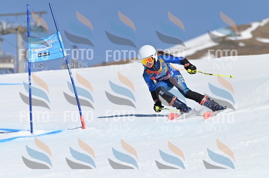 BGV_8073 | holidayphoto