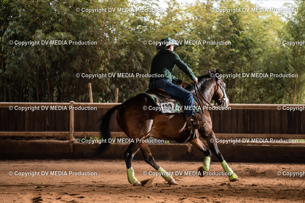 Erbach Tag 2-710 | dv-media-shop - Realisiert mit Pictrs.com