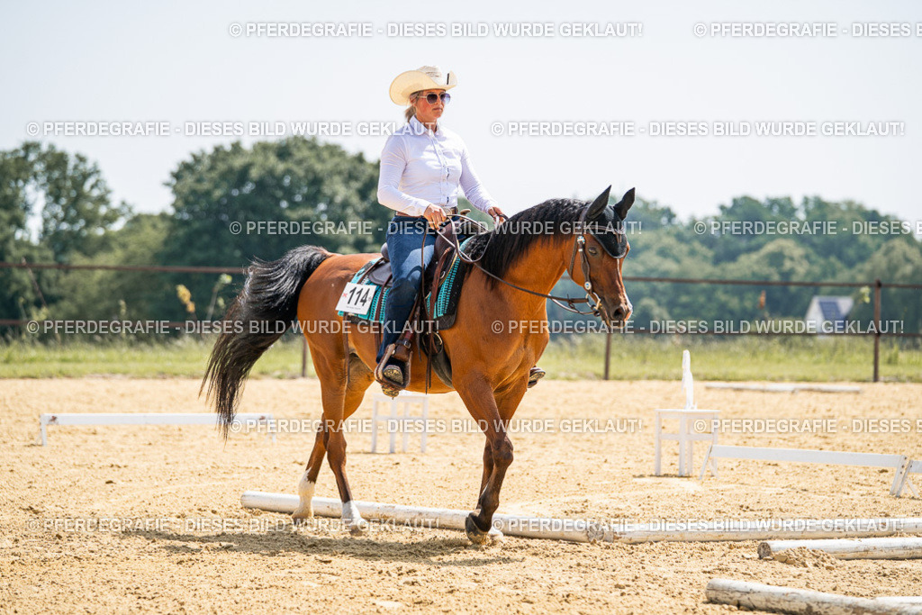 DSC00481 | Pferdegrafie