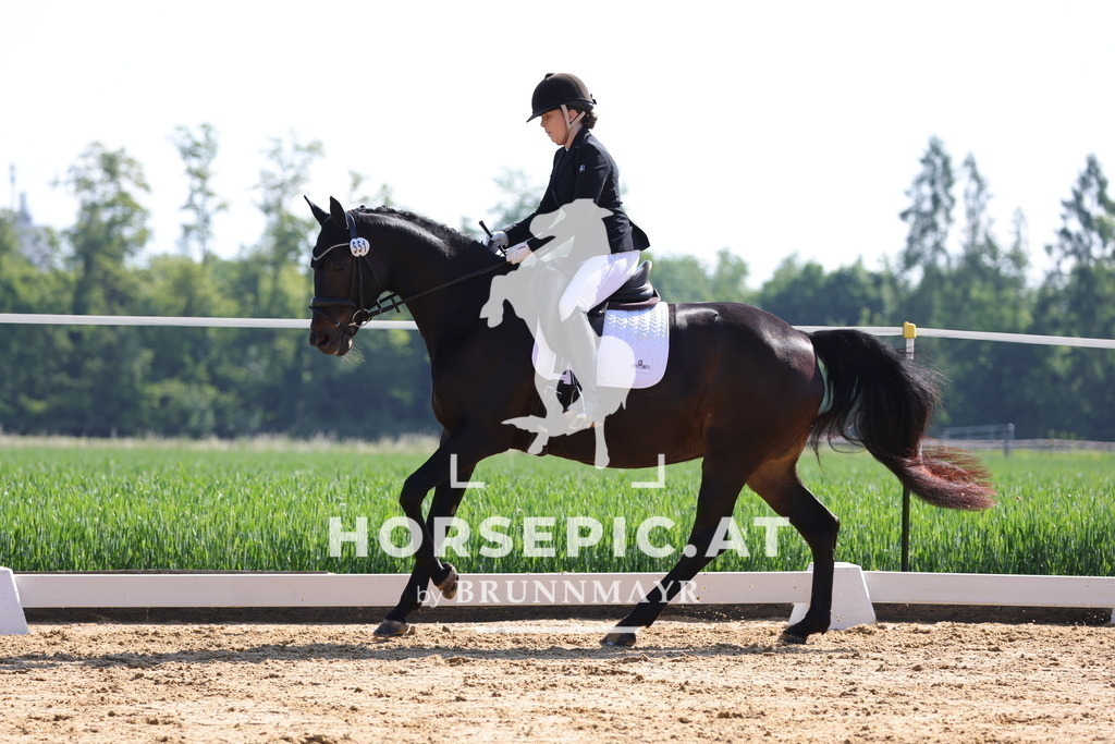 0P6A3600 | Willkommen bei Brunnmayr - Design & Fotografie – Ihrem Spezialisten für Reitturniere und Pferdeveranstaltungen in Oberösterreich, Salzburg und Bayern! Seit über 17 Jahren sind wir leidenschaftlich dabei.