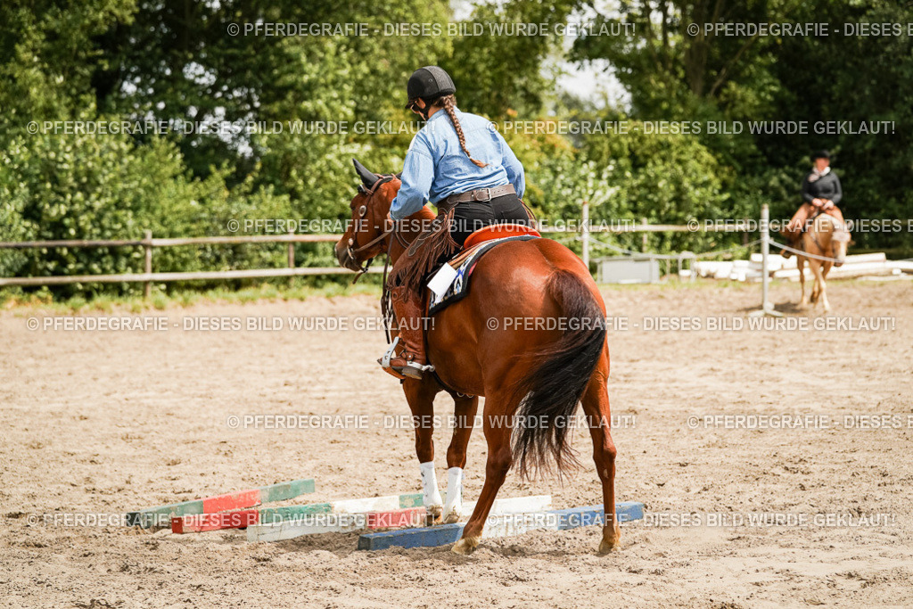 DSC00046 | Pferdegrafie