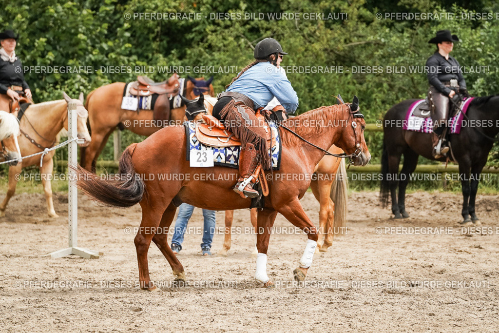 DSC00182 | Pferdegrafie