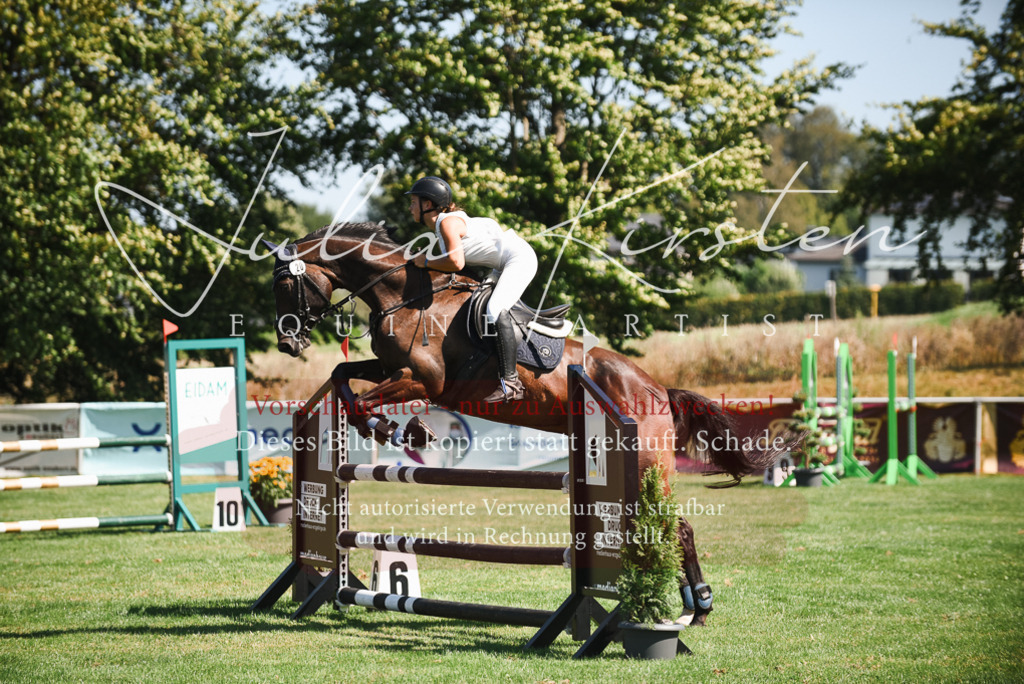 DSC_2868 | Pferde- und Turnierfotografie in Westsachsen. Pferdeportraits, Auftragszeichnungen und intuitive Kunst.