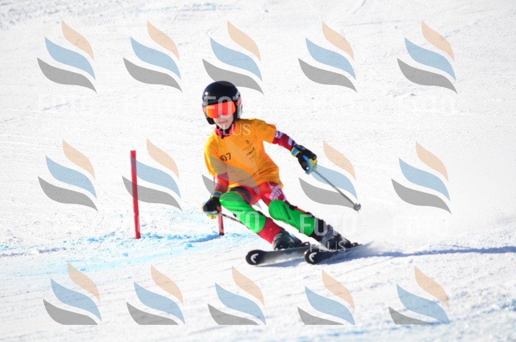 C6246 | holidayphoto