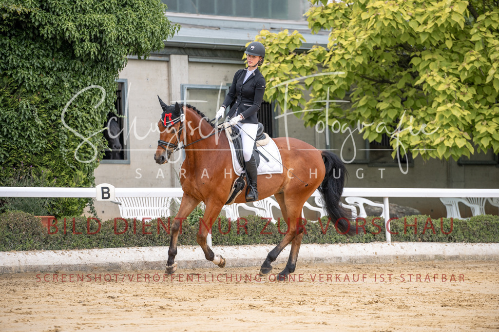 Schugtsche-Aluta25-41.Amat-Dressurprf.A_-73 | Schugtsche Fotografie - Realisiert mit Pictrs.com