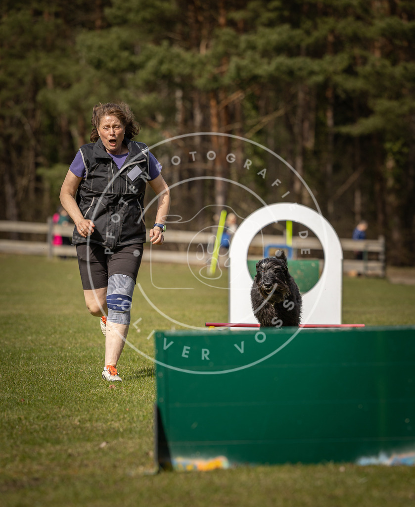Pfotenfotografie_DV3A0274 | Hundefotografie, Tierfotograf, Pfotenfotografie, Fotoshooting Hund, Hunde Portrait, Hundesport, Hundeportraits, Heideshooting, Hunde, Sportfotograf, Hundefotograf, Turnierhundsport, THS,  - Realisiert mit Pictrs.com