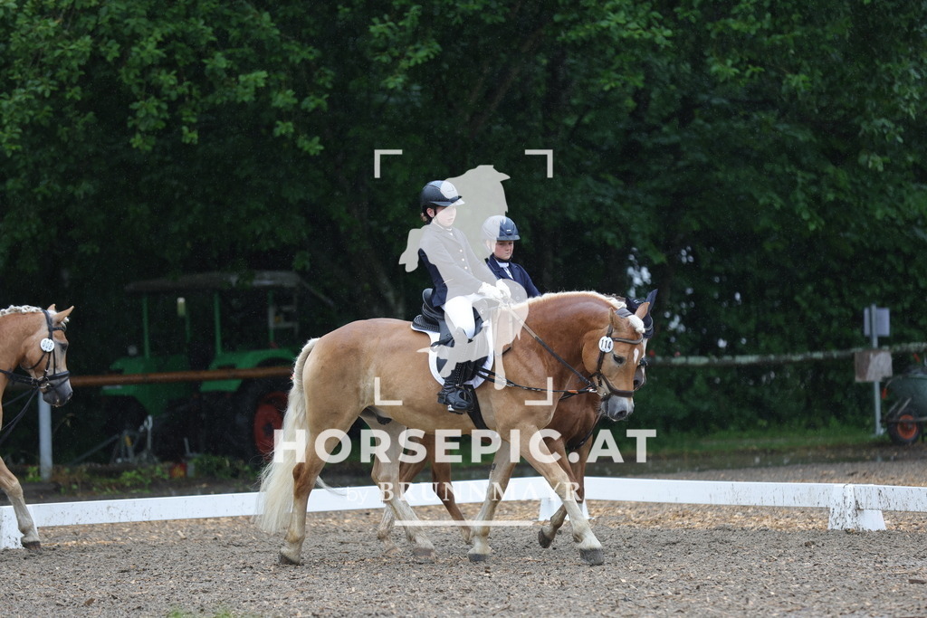 0P6A8622 | Willkommen bei Brunnmayr - Design & Fotografie – Ihrem Spezialisten für Reitturniere und Pferdeveranstaltungen in Oberösterreich, Salzburg und Bayern! Seit über 17 Jahren sind wir leidenschaftlich dabei.