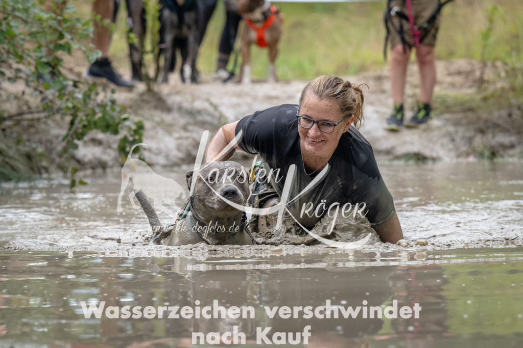 1337_ZZ91072 | kk-dogfotos