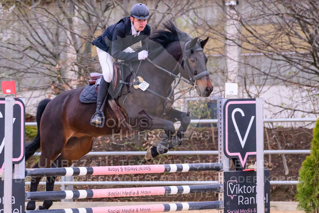 10042026-Mammendorf-Prfg19-0742 | Fokus Hufschlag Fotografie - Realisiert mit Pictrs.com