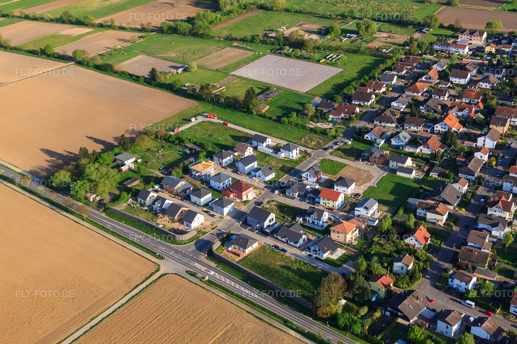 Luftbild: Neubaugebiet Ost (Im Holderbusch) in Minfeld im Bundesland Rheinland-Pfalz in Deutschland. Foto: IMG_64245.jpg vom 11.04.2014 durch Werner Riehm/FLY-FOTO.de