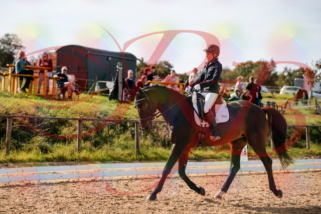 2026_10_03_Siefer-Hof_133623_Z63_96983912 | Professionelle Reitsport-, Turnier- und Eventfotografie von Robert Broda. Galerien mit ausgewählten und bearbeiteten Bildern direkt online ansehen und bestellen.
