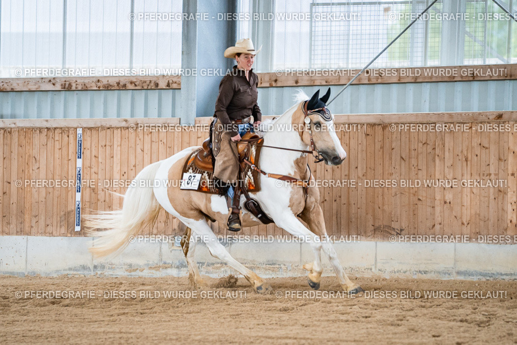 DSC09190 | Pferdegrafie