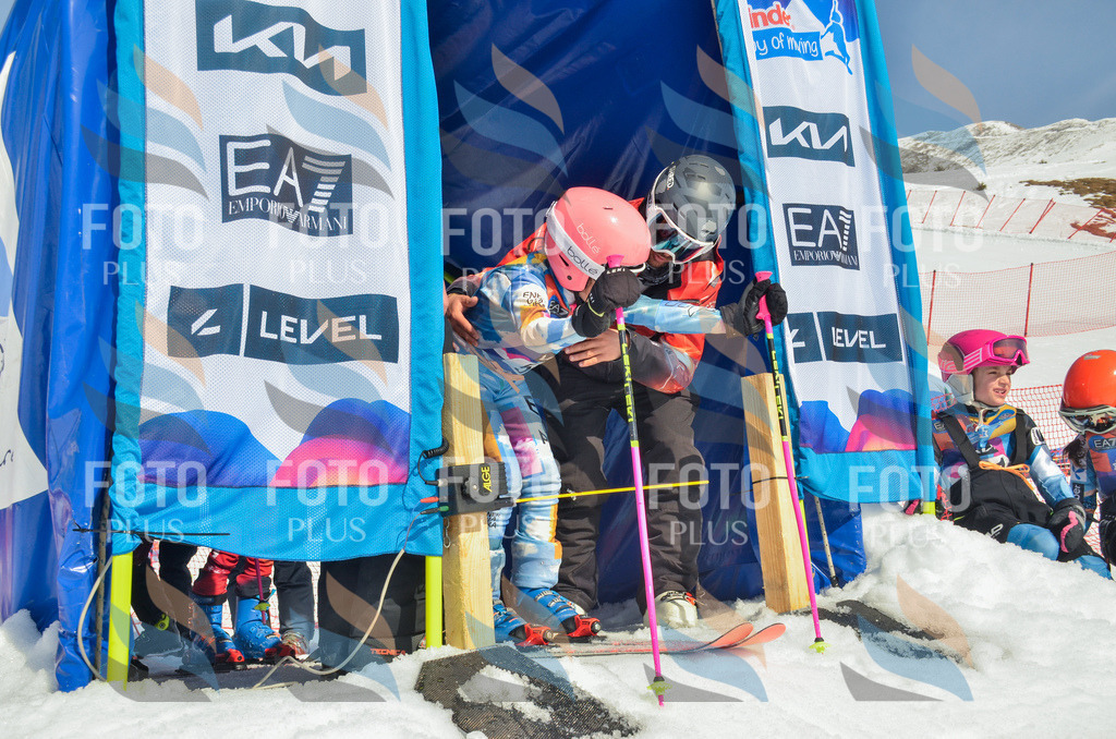 _ELE5231 | holidayphoto