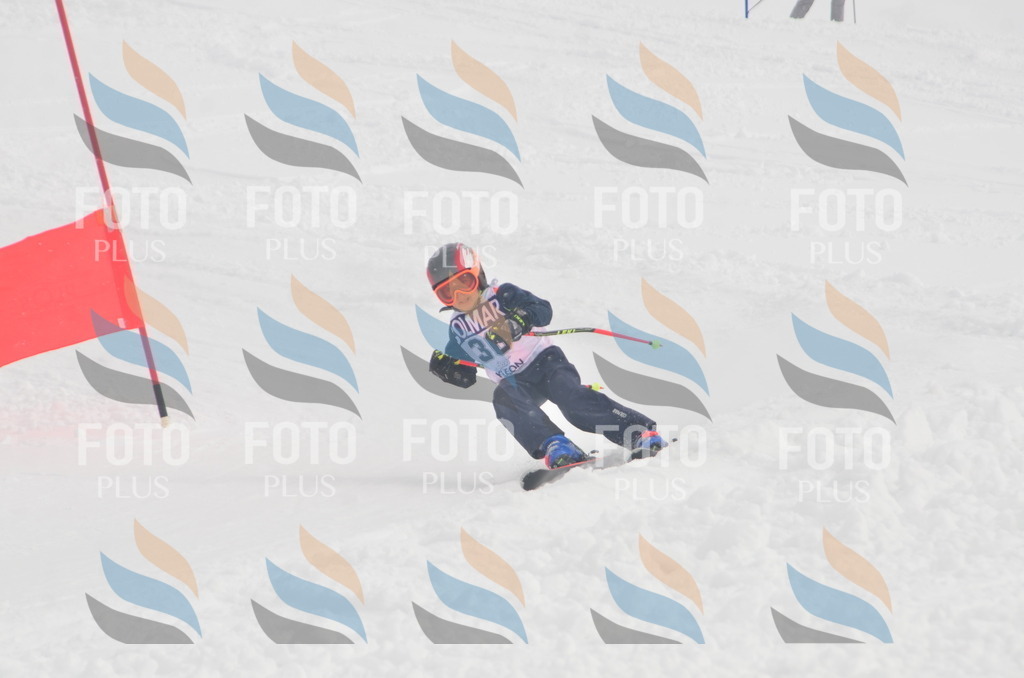 A5239 | holidayphoto