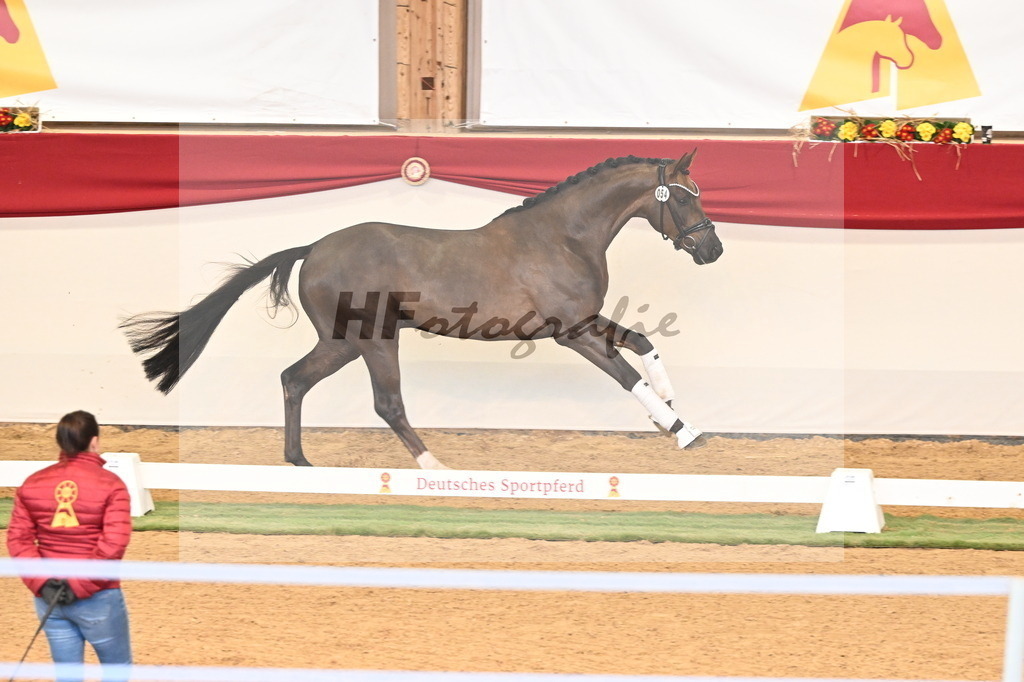 Kat.-Nr. 54 v. Feliciano_Rupp_3260566 | hf-fotografie - Realisiert mit Pictrs.com