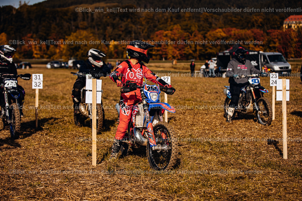 E68A7807 | blick_win_kel