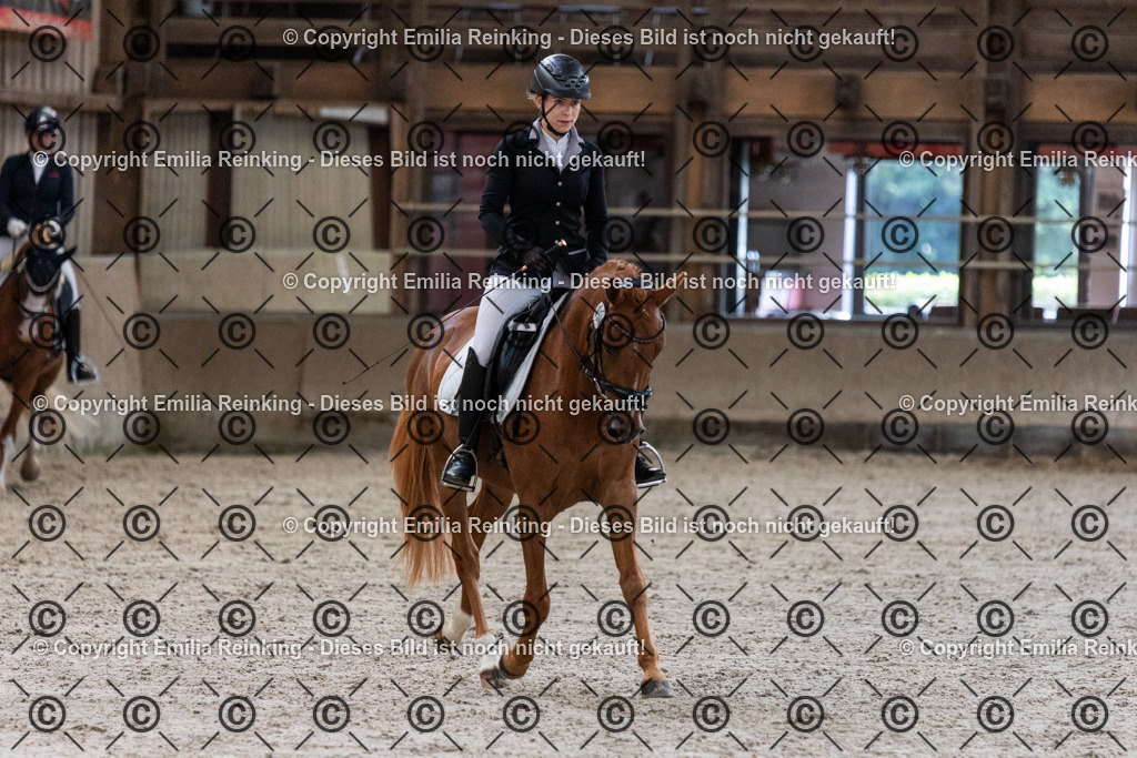 CL5A0452 | Emilia Reinking Fotografie - Realisiert mit Pictrs.com