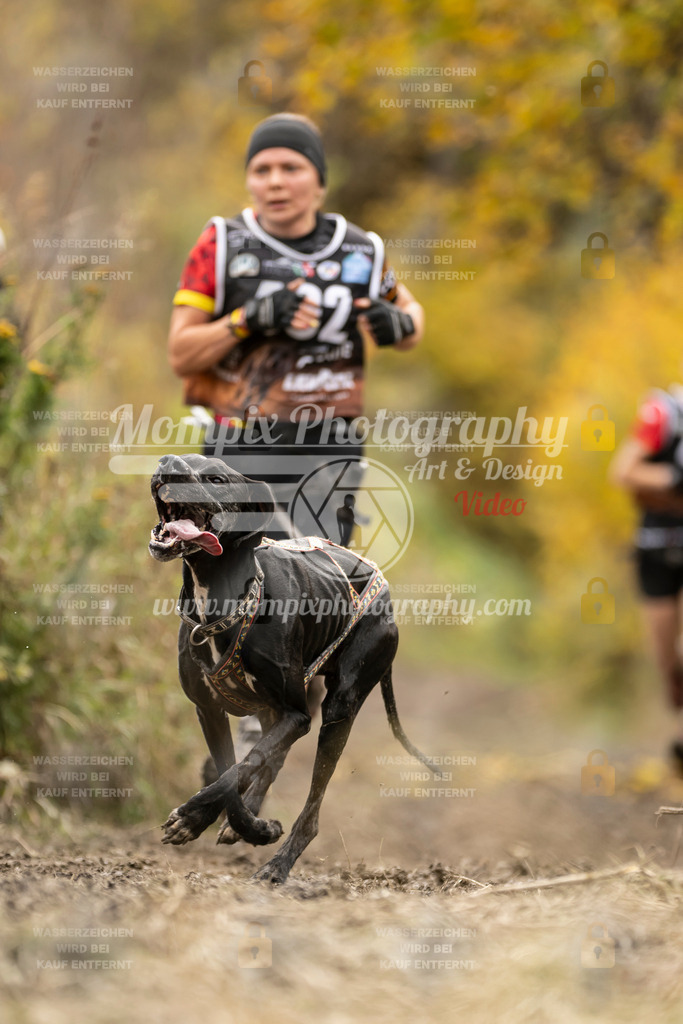 MompixPhotography_ICF_WC_2024_SA_Run_-365 | PayLife