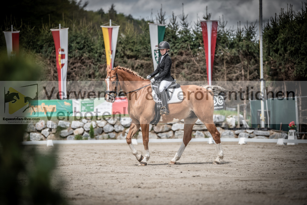 DSC_2765 | equestrian-live-com