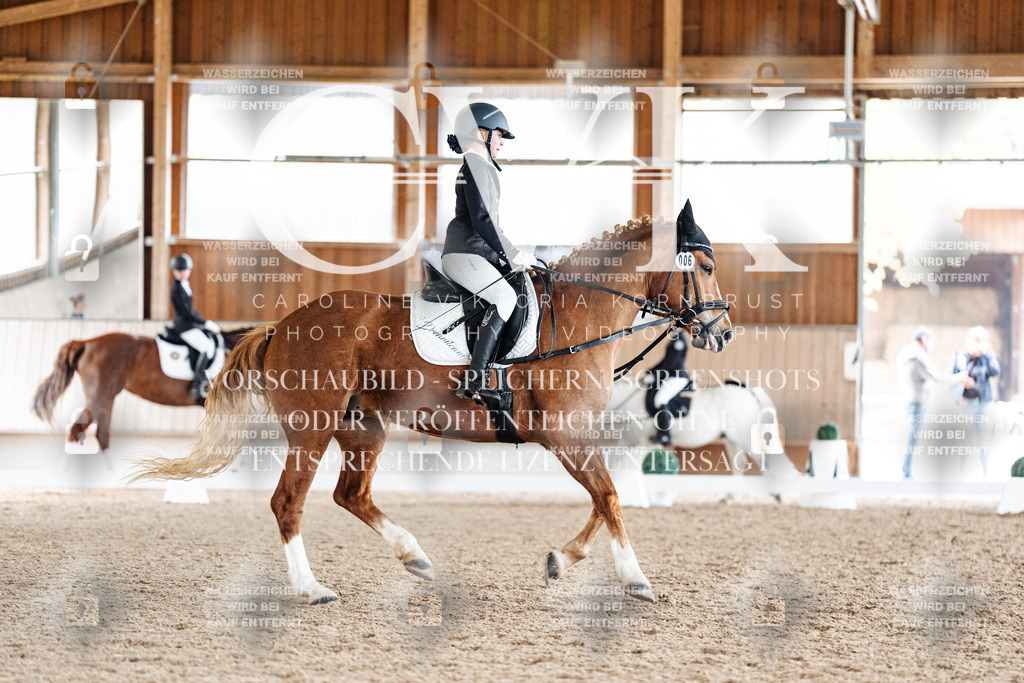 CK900875 | Turnierfotografie Pferdefotografie Trier Rheinland-Pfalz Pferdesport Reitsport Tierfotografie Sportfotografie Pferdevideo Pferdevideografie Equestrianvideography equestrianphotography  - Realisiert mit Pictrs.com