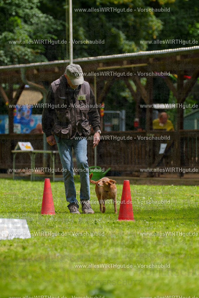 @allesWIRTHgut_Tierfotografie - www.allesWIRTHgut.de - 121710-7R508792 | Professionelle Tierfotografie in Mönchengladbach von Daniel Wirth (allesWIRTHgut). Liebevolle & natürliche Bilder von Hunden & Katzen für unvergessliche Erinnerungen.