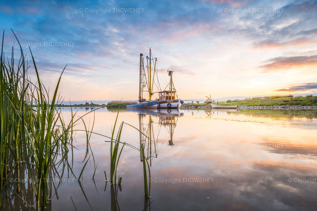 _1037483 | thowehey - Realisiert mit Pictrs.com