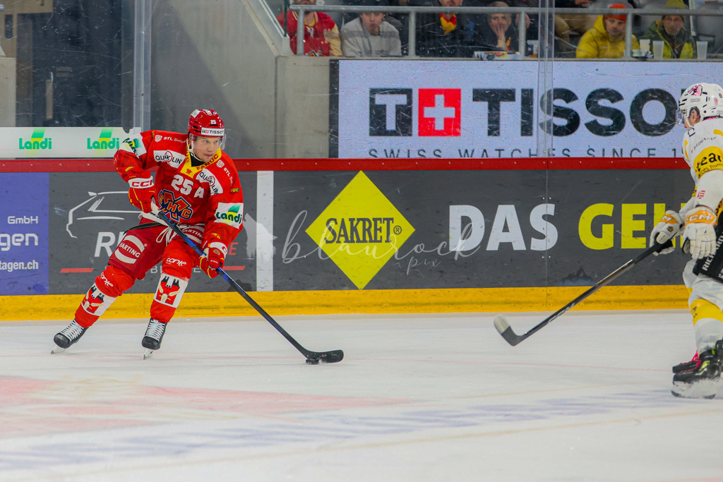 EHCB vs HCA 20260127_wb-9530 | Sportbilder, Sportfotograf, Hochzeits- und Eventfotografin, Flugshows, Portraits und Tiershooting, Aviation, Downhill, Nationalleague, Swissleague, International