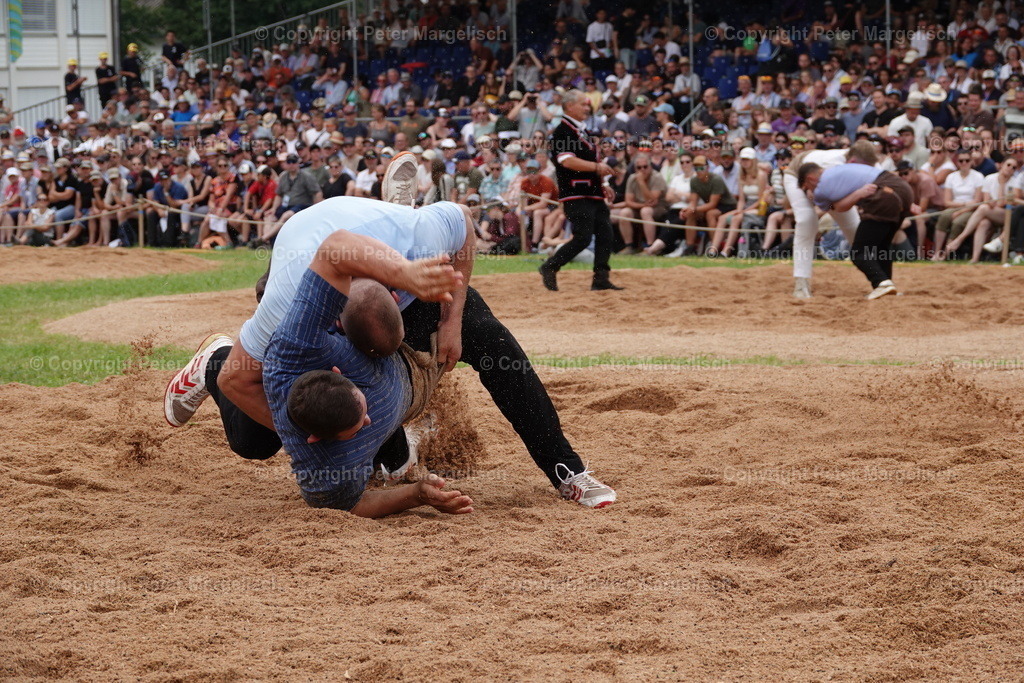DSC01251 | Schwingen - Realisiert mit Pictrs.com