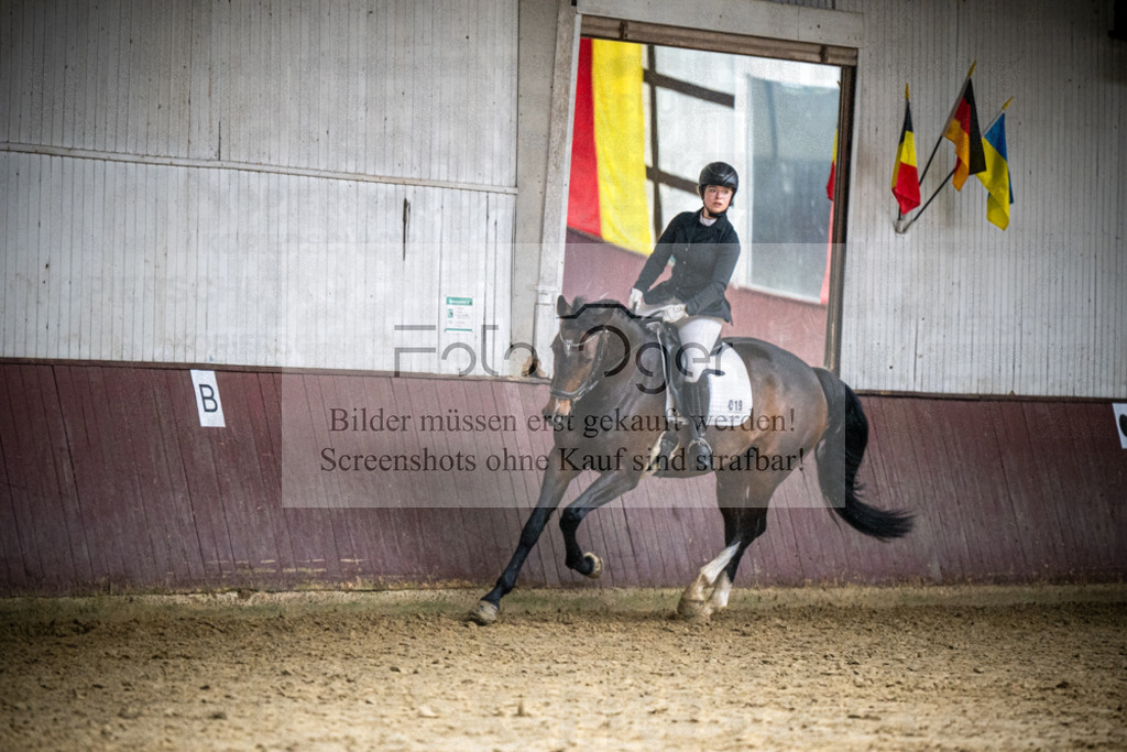 DOS_0317 | Reitturnier Lüdinghausen - Realisiert mit Pictrs.com