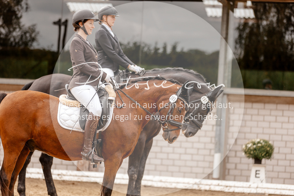 3I6A7854 | Stimmungsvolle Portraits und Reitsportfotografie im Ruhrgebiet und im Münsterland.

Pferdefotografie, Hundefotografie, Tierfotografie, Reportagen, Portraits von Tier und Mensch, Turnierfotografie in Bochum, Recklinghausen, Marl, Haltern am See, Dülmen.. - Realisiert mit Pictrs.com