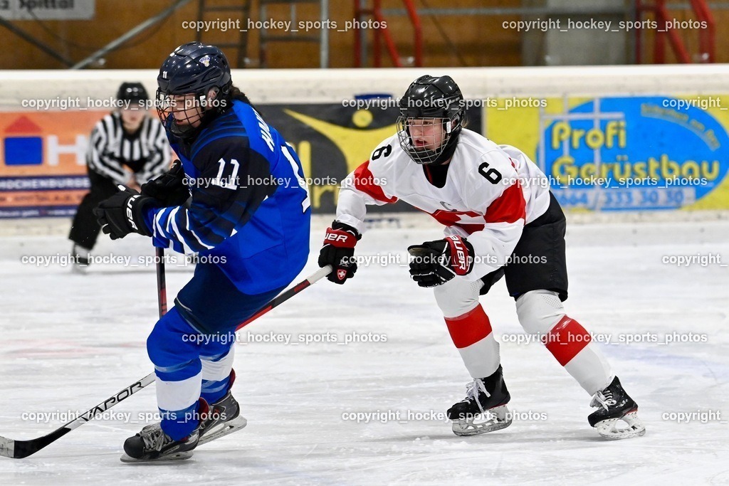 BST_3385 | hockey sports photos, Pressefotos, Sportfotos, hockey247, win 2day icehockeyleague, Handball Austria, Floorball Austria, ÖVV, Kärntner Eishockeyverband, KEHV, KFV, Kärntner Fussballverband, Österreichischer Volleyballverband, Alps Hockey League, ÖFB, 