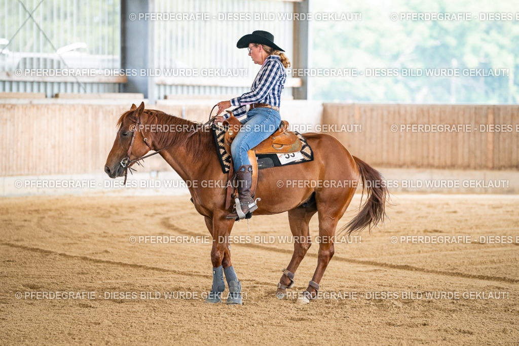 DSC04271 | Pferdegrafie