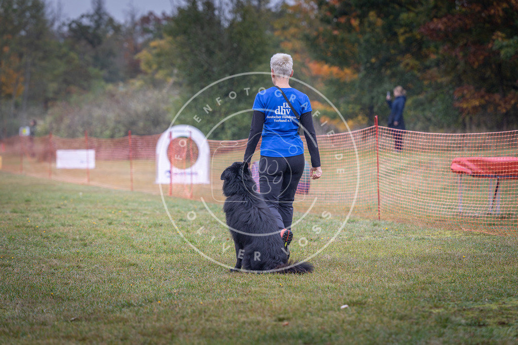 Pfotenfotografie_DV3A8962 | Hundefotografie, Tierfotograf, Pfotenfotografie, Fotoshooting Hund, Hunde Portrait, Hundesport, Hundeportraits, Heideshooting, Hunde, Sportfotograf, Hundefotograf, Turnierhundsport, THS,  - Realisiert mit Pictrs.com
